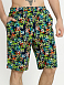 Шорты Мужские Буквы Яркие арт.мк218бя